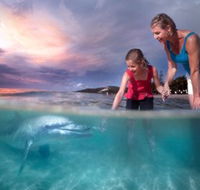 Tangalooma Island Resort - Cruises Travel