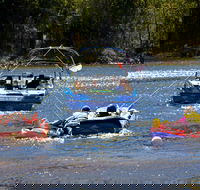Lake Dyer - Tourism Guide
