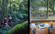 Mt Warning Rainforest Park - thumb 7