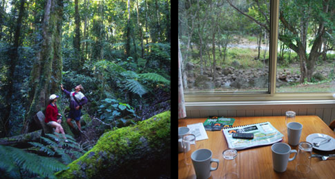 Mt Warning Rainforest Park - Tourism Guide 7