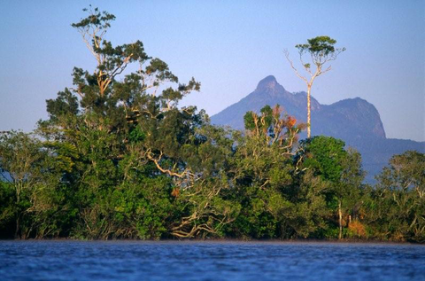Mt Warning Rainforest Park - Tourism Guide 10