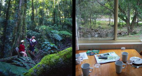 Mt Warning Rainforest Park - Tourism Guide 17