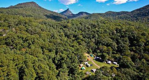 Mt Warning Rainforest Park - Tourism Guide 18
