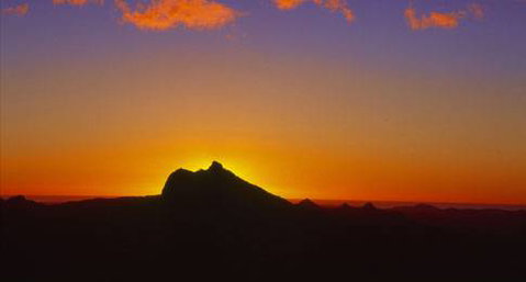 Mt Warning Rainforest Park - Tourism Guide 19