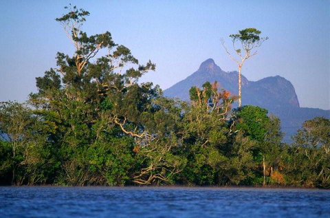 Mt Warning Rainforest Park - Tourism Guide 20