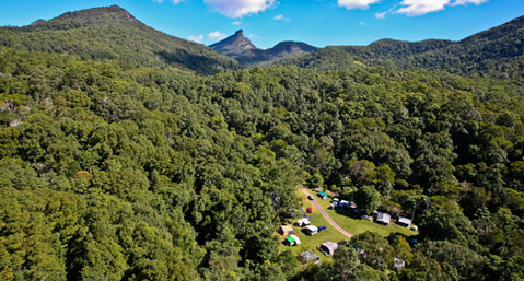 Mt Warning Rainforest Park - Tourism Guide 13