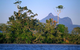 Mt Warning Rainforest Park - thumb 15