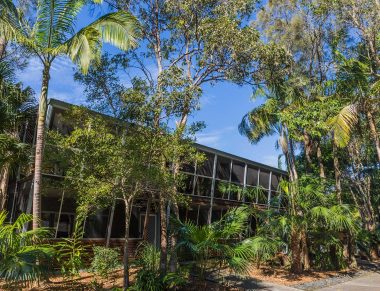 Angourie Rainforest Resort - Tourism Guide 13