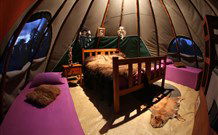 Aranyani Bison Adventure Tourist Park - Tourism Guide 0
