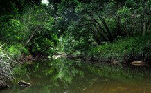 Aranyani Bison Adventure Tourist Park - Tourism Guide 3
