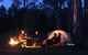 Aranyani Bison Adventure Tourist Park - thumb 2
