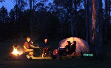 Aranyani Bison Adventure Tourist Park - Tourism Guide 2