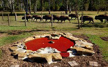 Aranyani Bison Adventure Tourist Park - Tourism Guide 5