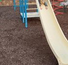 Austin Tourist Park - Travel Agents