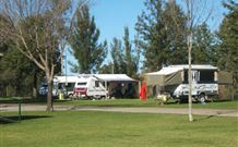 Austin Tourist Park - Tourism Guide 5