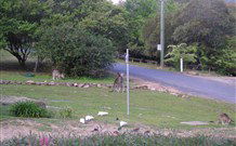 Burrinjuck Waters Holiday Park Accommodation - Tourism Guide 2