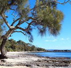 Currarong Beachside Holiday Park - Tourism Guide