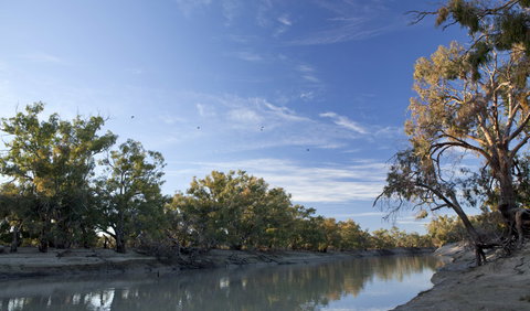 Darling River Campground - Travel Agents 0