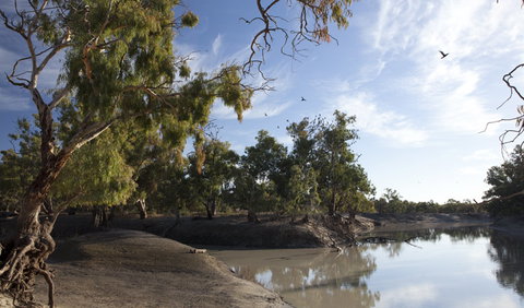 Darling River Campground - Travel Agents 1