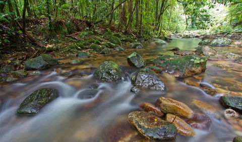 Iron Pot Creek Campground - Tourism Guide 2