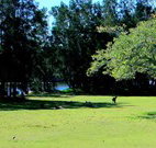 Island View Caravan Park and Holiday Cottages - Travel Agents