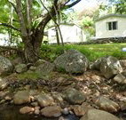 Mt Warning Rainforest Park - Tourism Guide