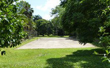 Mt Warning Rainforest Park - Tourism Guide 3