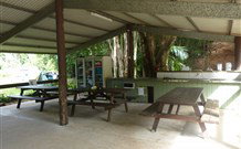 Mt Warning Rainforest Park - Tourism Guide 4