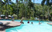 Mt Warning Rainforest Park - Tourism Guide 2