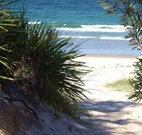 Myola Tourist Resort Caravan Park - Travel Search
