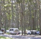 Mystery Bay Camping Area - Tourism Guide