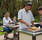 Port Stephens Treescape - Tourism Guide