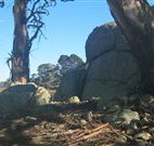 Warreen Farmstay Rural Accommodation - Tourism Guide