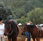 Chesleigh Homestead - Tourism Guide