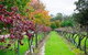 Peppers Convent Hunter Valley - thumb 4
