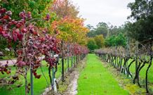 Peppers Convent Hunter Valley - Tourism Guide 4