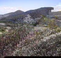 Blackbird Flat Camping Ground - Tourism Guide