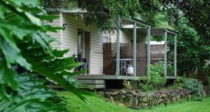 Mt Warning Rainforest Park - Tourism Guide 6
