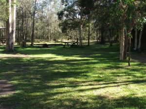 Jervis Bay Cabins And Hidden Creek Real Camping - Travel Agents 6