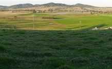 Leconfield NSW Travel Agents