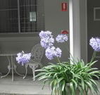 Pine Lodge Motel - Woolgoolga - Tourism Guide