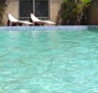 Toreador Motel - Coffs Harbour - Tourism Guide
