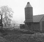 Ashmar Farm Stay - Tourism Guide