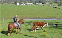 Ashmar Farm Stay - Travel Agents 3