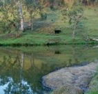Barkeldine Farm Country Retreat - Tourism Guide