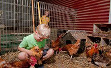 Bilpin Springs Lodge - Travel Agents 0