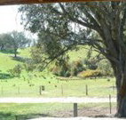 Hosanna Farm Retreat - Tourism Guide