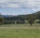 Ingleden Park Bed And Breakfast Farmstay Cottages - Tourism Guide