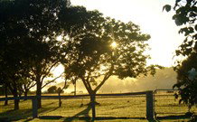 Rocky Mountains - Travel Agents 4