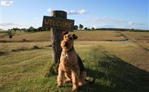 Rocky Mountains - Travel Agents 7